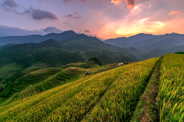 Terrazas de arroz al atardecer hermoso