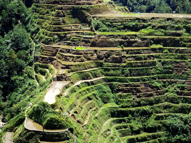 Las terrazas de arroz en Banaue, Filipinas