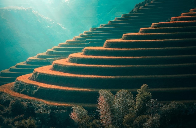 Las terrazas de arroz de banaue, vietnam