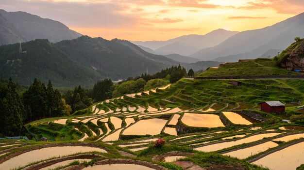 Terrazas de arroz japonesas en Kumano Japón al anochecer