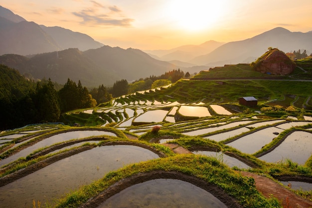 Terrazas de arroz japonesas en Kumano Japón al anochecer