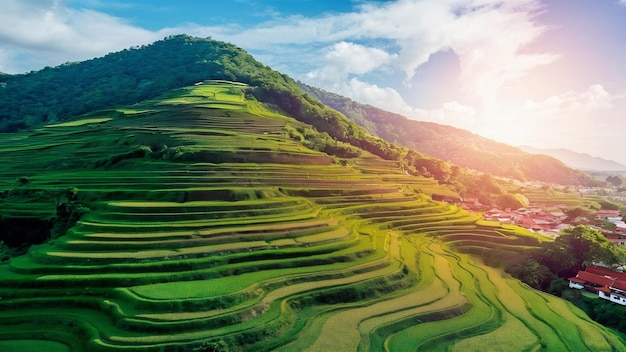 Terrazas de arroz en las montañas de Tailandia