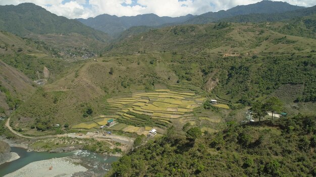 Terrazas de arroz en las montañas