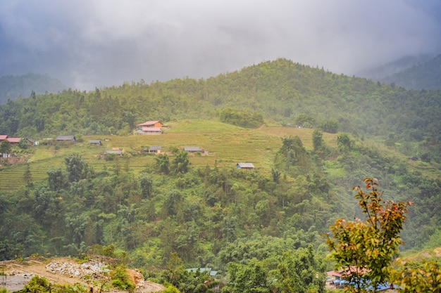 Terrazas de arroz en la niebla en los campos de arroz de sapa vietnam preparan la cosecha en el noroeste de vietnam