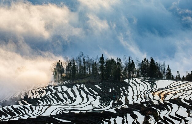 Terrazas de arroz de la provincia de Yunnan en medio de la pintoresca niebla matutina. Condado de Yuanyang. China.