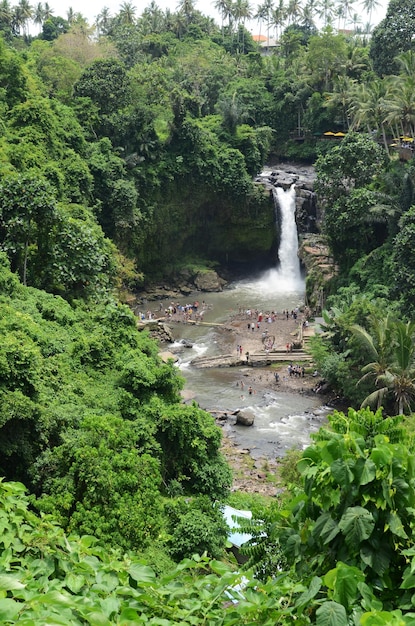 Terrazas de arroz Tegalalang en Ubud Bali