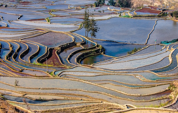 Terrazas de arroz en Yuanyang, China