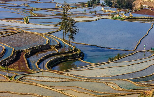 Terrazas de arroz en Yuanyang, China