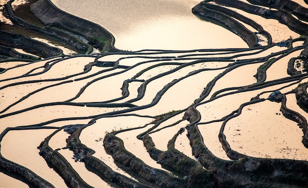 Terrazas de arroz en Yuanyang, China