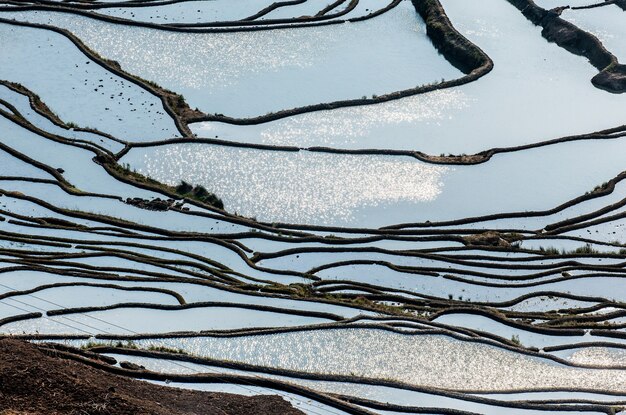 Terrazas de arroz en Yuanyang, China