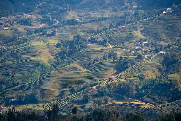 Terrazas de arrozales, el paisaje típico cerca del pueblo de montaña Sapa