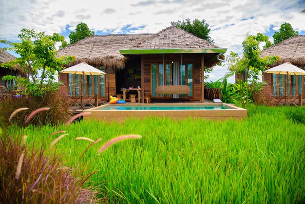 Terrazas de campo de arroz en Mae Klang Luang Homestay Chiangmai Tailandia