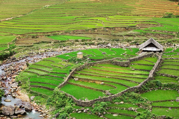 Terrazas de campo de arroz