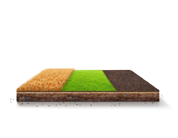 Terreno agrícola de trigo isomérico con suelo y cultivos de trigo Prado agrícola aislado Granja Terreno agrícola 3d