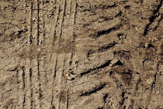 Terreno arenoso cerca de la huella y la textura de los neumáticos