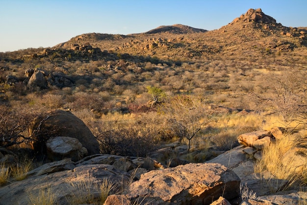 Terreno árido rocoso con una pequeña colina rocosa Paisaje y naturaleza del desierto