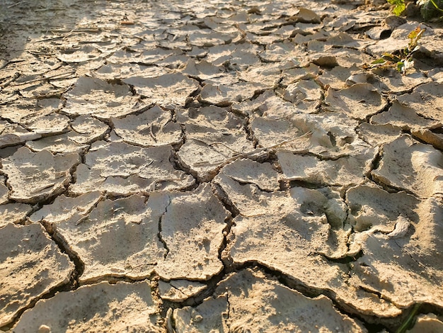 Terreno arido por sequia, suelo de arcilla cuarteado