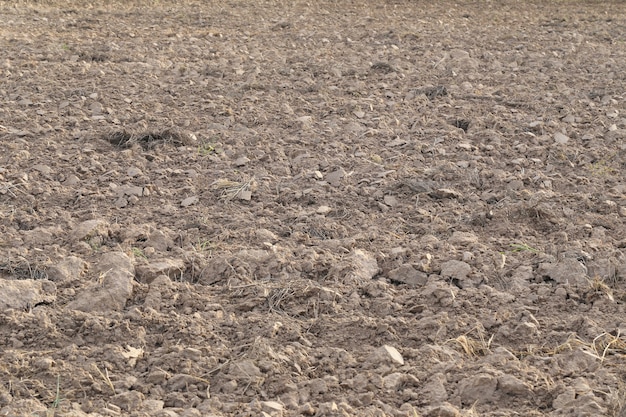 Terreno baldio para plantio após arado.