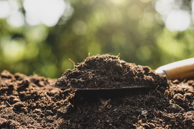 Terreno para cultivo.