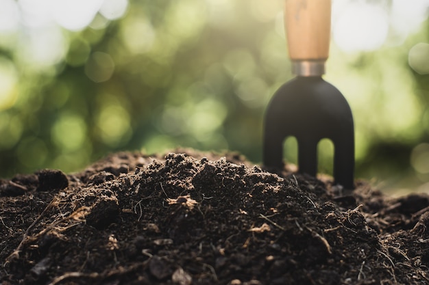 Terreno para cultivo.