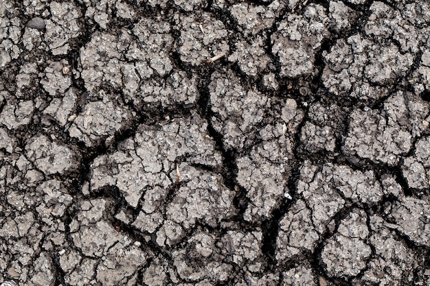 Terreno estéril. Fondo de tierra seca y agrietada.