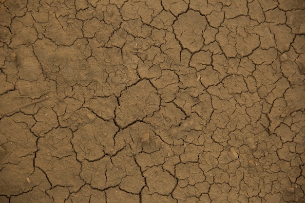Terreno con suelo seco y agrietado. Fondo de calentamiento global.
