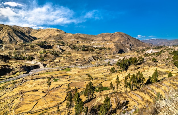 Terreno en terrazas dentro del cañón del colca en perú