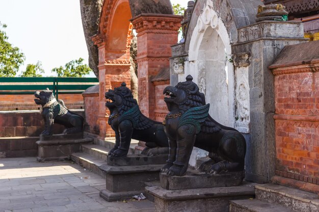 Terrenos y edificios en Swayambhunath Nepal