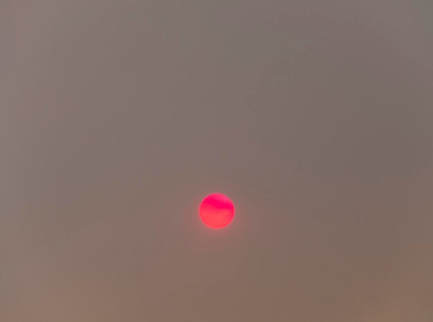 El terrible sol en el humo de los incendios en Grecia en la isla de Evia