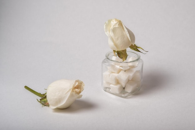 Foto terrones de azúcar y rosa blanca sobre fondo blanco. enfoque selectivo