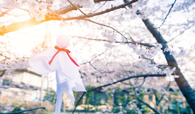 Teru Teru Bozu. Muñeca de lluvia japonesa colgada del árbol de Sakura para orar por el buen tiempo