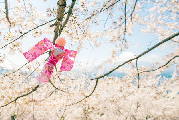 Teru Teru Bozu. Muñeco de lluvia japonés colgando del árbol de Sakura para rezar por el buen tiempo
