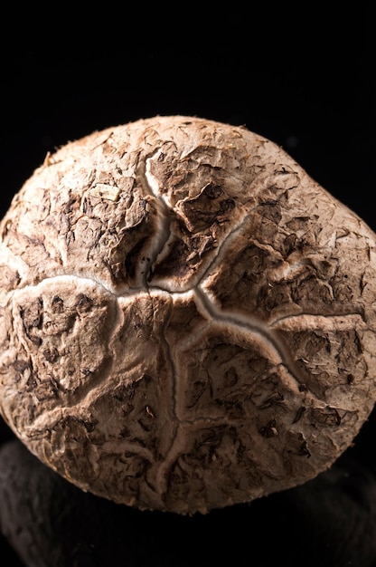 El tesoro culinario 4K Ultra HD Imagen de setas secas de Shiitake