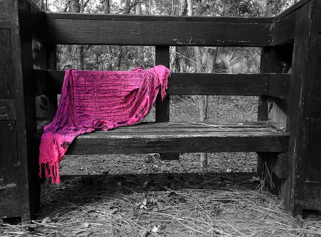 Foto tesouro rosa em um banco de madeira no campo