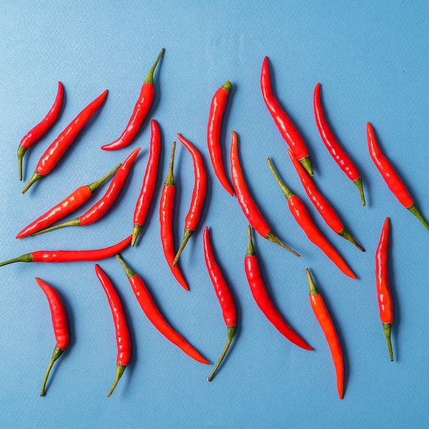 Teste padrão da pimenta de pimentão picante madura vermelha sobre o fundo azul.