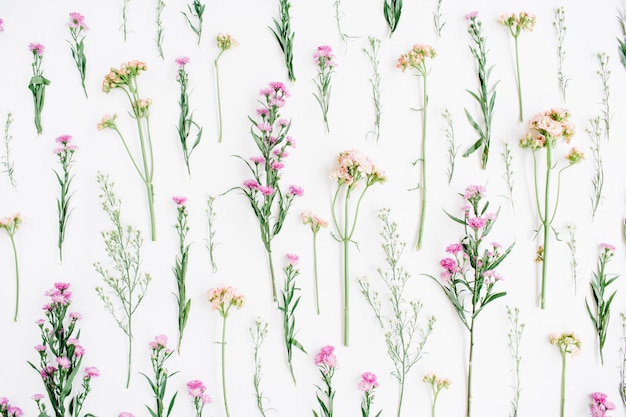 Teste padrão floral com design de flores silvestres rosa e bege