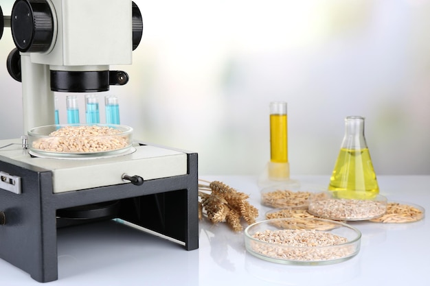 Testes microbiológicos para qualidade de alimentos no laboratório de bioquímica