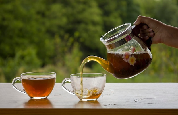 Tetera con una taza de té transparente en la naturaleza