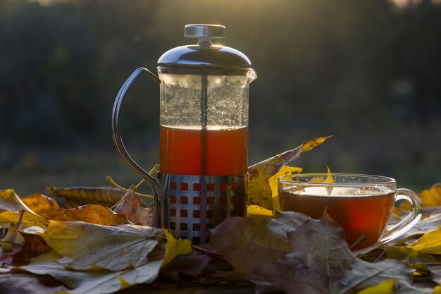 Tetera con té y taza cerca de hojas de otoño