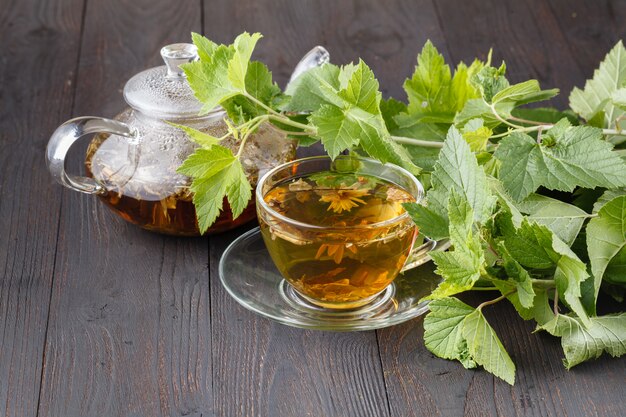 Tetera de vidrio y taza con té verde en la mesa de madera vieja con hierbas frescas