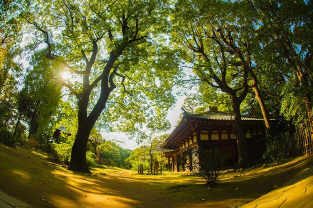 Foto tetsugaku do nakano em tóquio