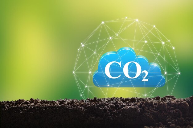 Foto text co2-symbol auf boden mit grünem naturhintergrund