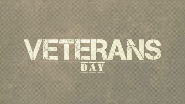 Text Veterans Day auf grünem militärischem Hintergrund