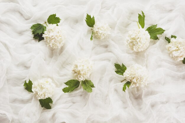 Textil und weiße Blume Viburnum