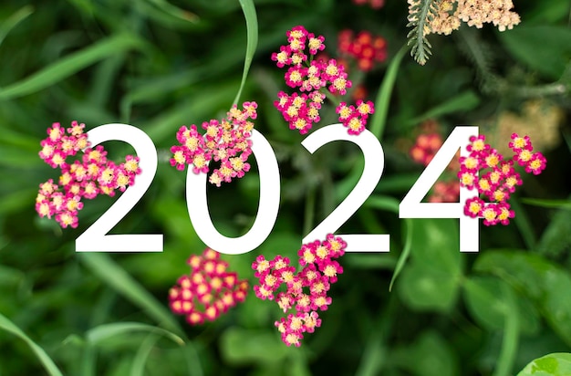 Foto texto blanco del año nuevo 2024 escondido en flores rojas y amarillas