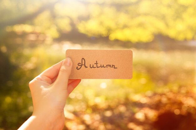 Texto de outono em um cartão garota segurando um cartão no parque outono em raios de sol