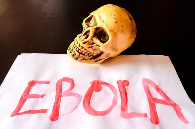 Texto do Word Ebola