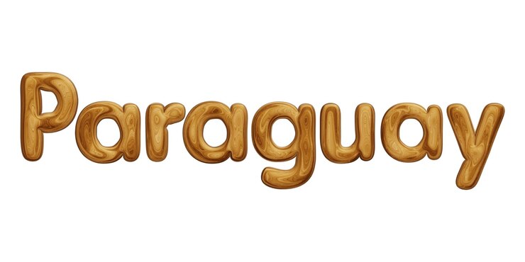 Foto texto de madera de paraguay para el concepto de país