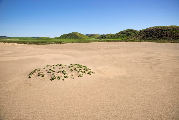 Foto texto na areia na praia contra o céu claro