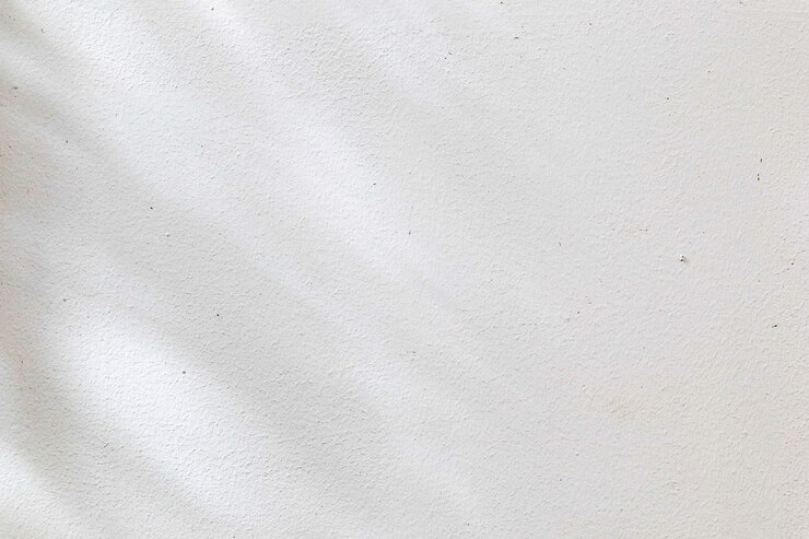 El textuer abstracto del fondo blanco y negro de las sombras hojea en un muro de cemento.